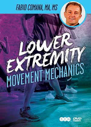 Lower Extremity Movement Mechanics